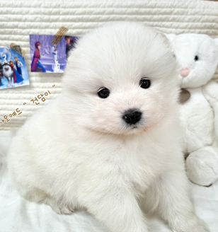 이미지