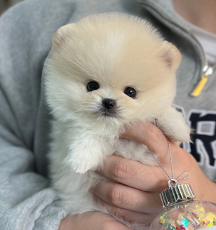 이미지