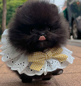 이미지